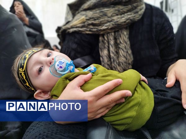 مراسم شیرخوارگان حسینی در شهرستان فریدونشهر 