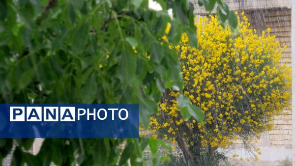 غافلگیری شهر بن از طرف آسمان