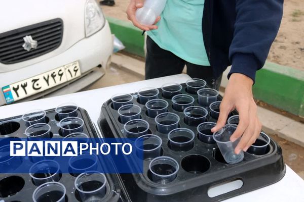 جلوه‌های عاشقانه سه‌شنبه‌های جمکران