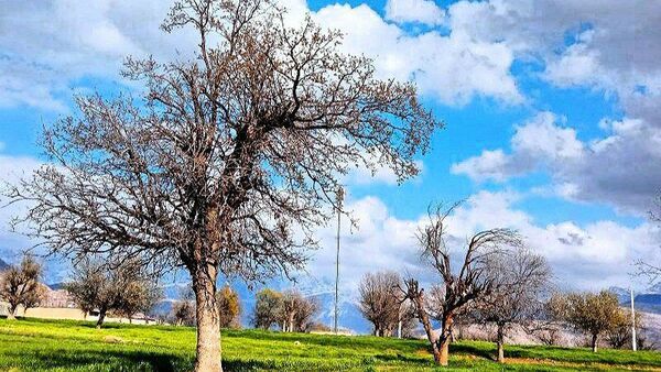 مسن و سرتنگ روستاهایی در دل طبیعت خانمیرزا 