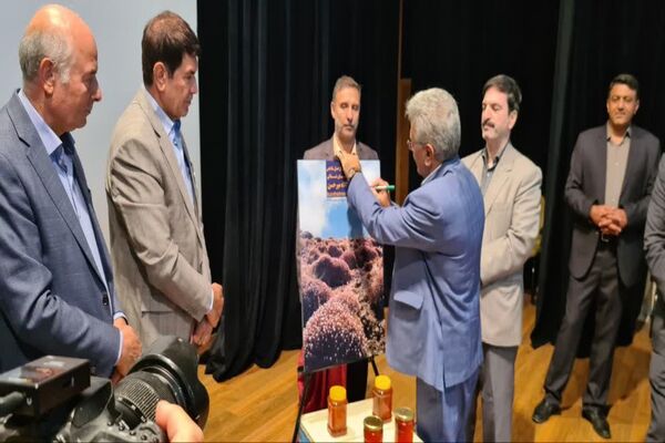 اولین رویداد روز ملی عسل در بجنورد 