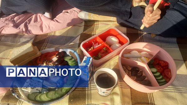 پیشتازان سلامت و نشاط در اردوی دبیرستان شهید مدرس 