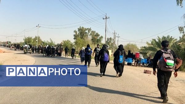 پیاده روی پرشور اربعین حسینی از جاده نجف تا کربلا