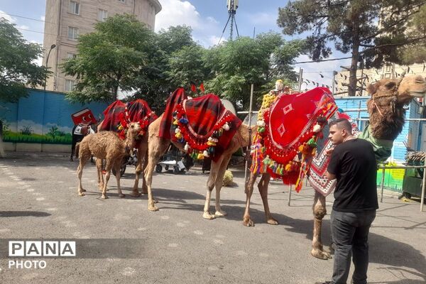 حضور غیور مردم شهرقدس از میدان مصلی تا میدان امام خامنه‌ای 