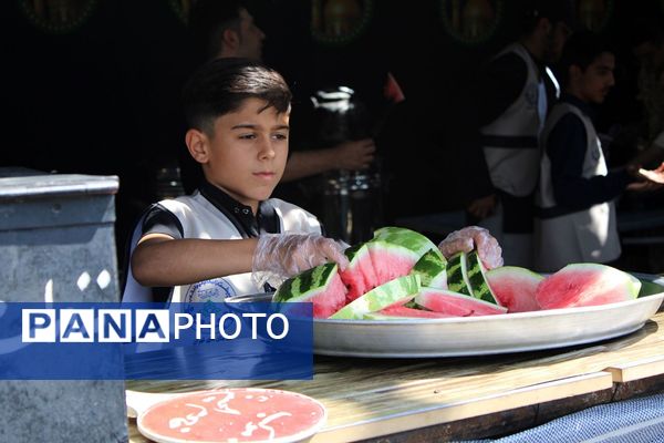 دانش‌آموزان پیشتاز رباط کریم، خادمان کوچک اربعین حسینی