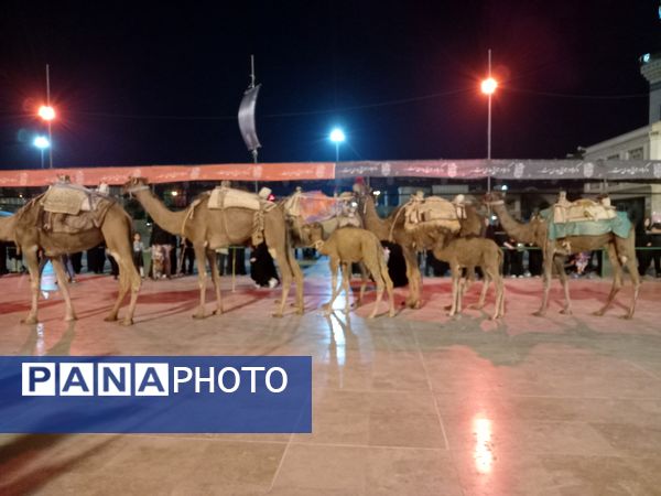 عزاداری هیات بنت الحسین (ع) در حرم بانوی کرامت 