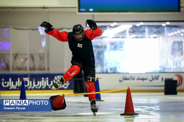 مسابقات اسکیت روی یخ