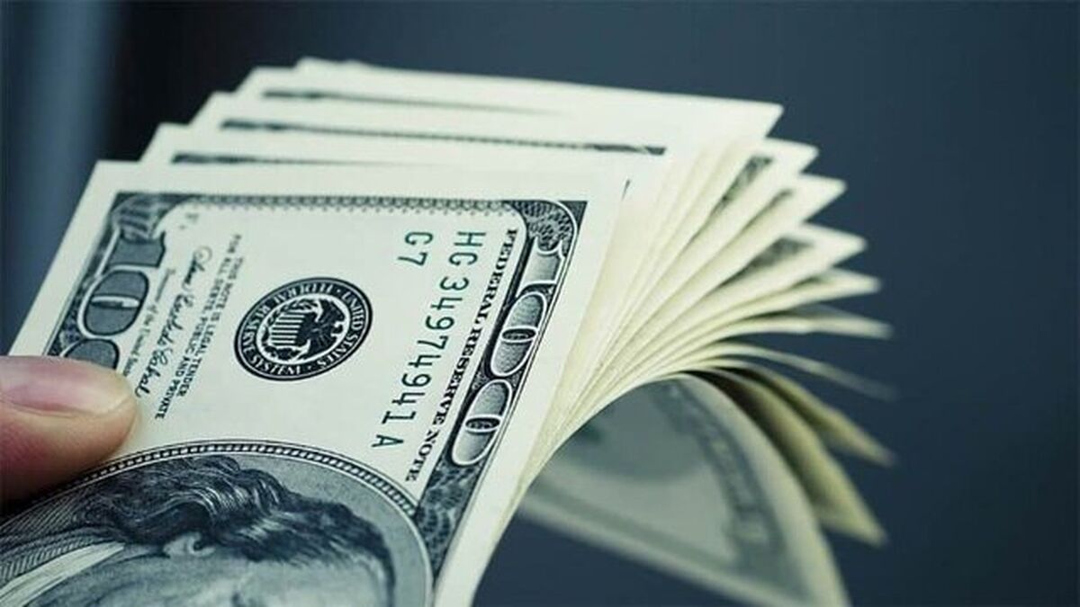 هشدار بانک مرکزی؛ خرید هیجانی ارز در نرخ‌های بالا پرریسک است  