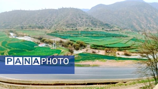 طبیعت بهاری، یک یادآوری دوست داشتنی