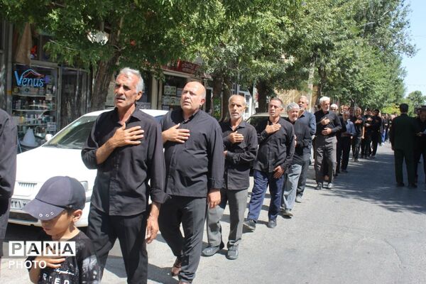 جاماندگان اربعین در ملکان؛ هم‌قدمی با کاروان عشق حسینی