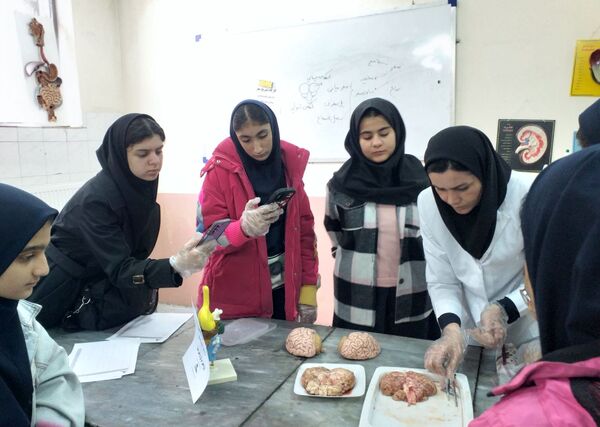 برگزاری کلاس آناتومی و تشریح مغز در پژوهش‌سرای بوعلی سینا ملارد