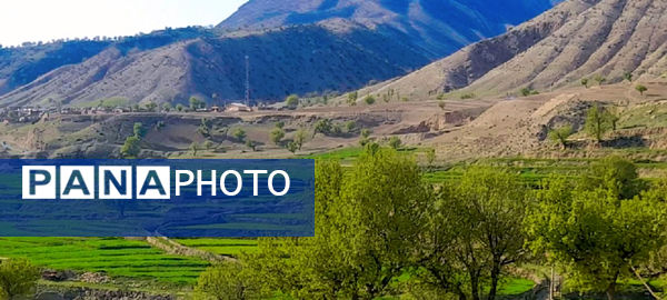 طبیعت بهاری، فرصتی برای سرزندگی روح 