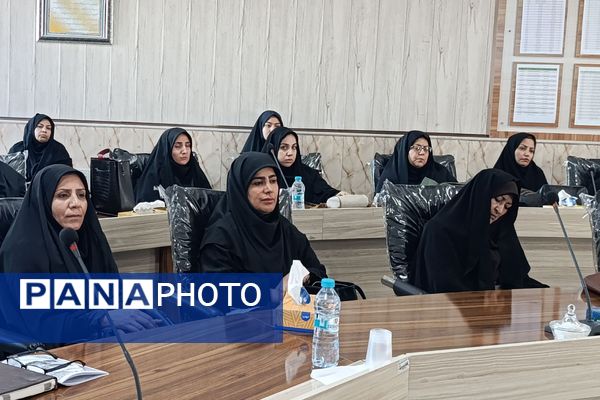 جلسه مراقبین سلامت مدارس در نیشابور 