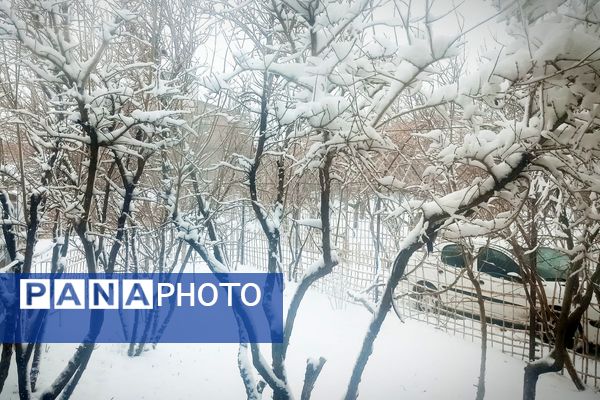 قلعه یزدان در قاب برفی زمستان