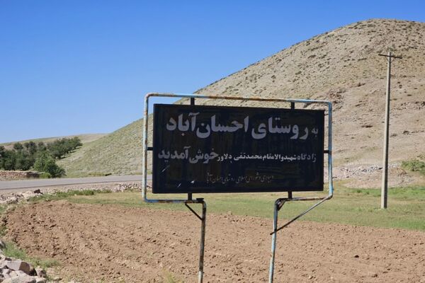 شیوع بیماری زنگ زرد در مزارع گندم و جو در روستاهای دهستان سنگر شهرستان فاروج