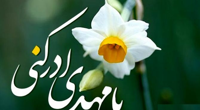 میلاد گل نرگس