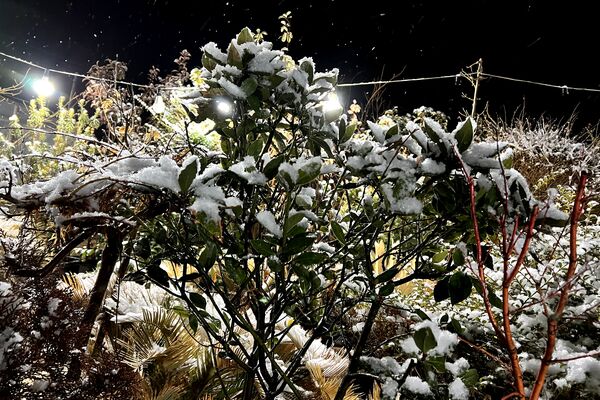 شب زیبای برفی در آباده
