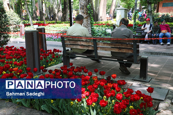 فصل لاله‌ها در بوستان باغ ایرانی