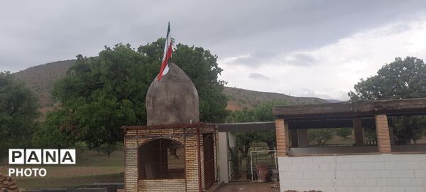 طبیعت بکر شوارز در روز بارانی 