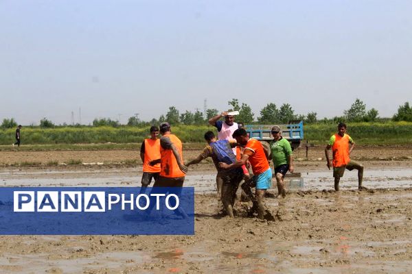 جشنواره فرهنگی و ورزشی بازی‌های شالیزاری در گلوگاه 