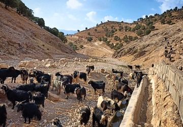 آبچنار کینک در معرض خشکسالی