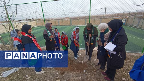 درختکاری در دبستان شهید ذکاوتی مایوان