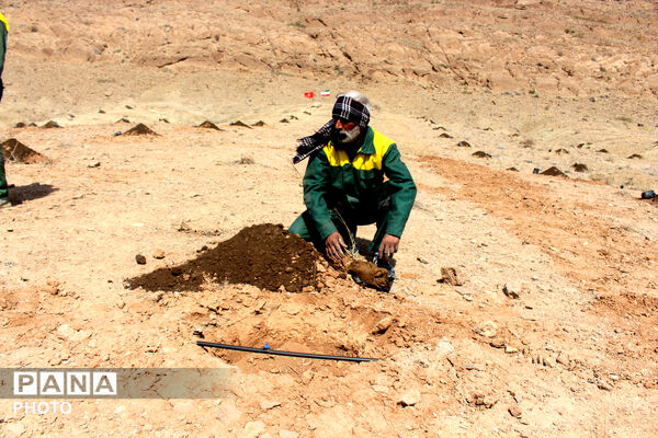 اجرای نهمین پویش درختکاری با حضور اصحاب رسانه در قم