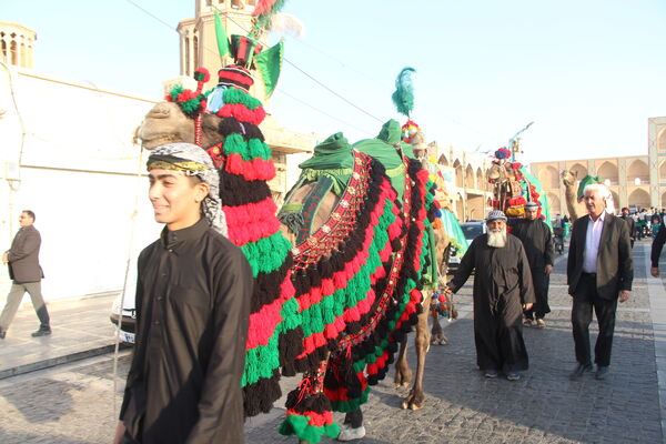 کاروان نمادین حضور امام رضا (ع) در یزد