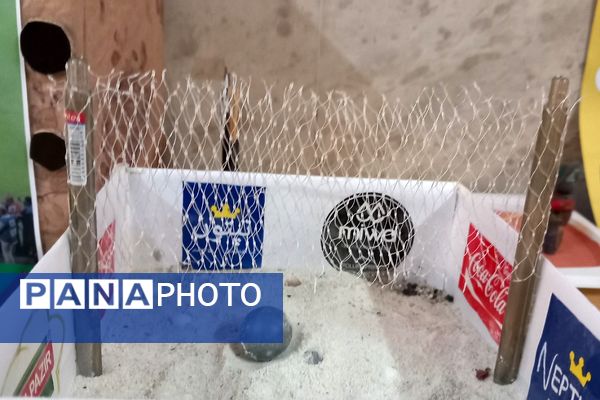 مراسم هفته تربیت‌بدنی در دبیرستان حکمت بهارستان‌۲ 