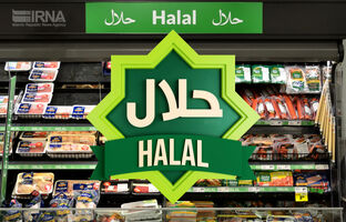ضرورت برگزاری اکسپوی محصولات حلال