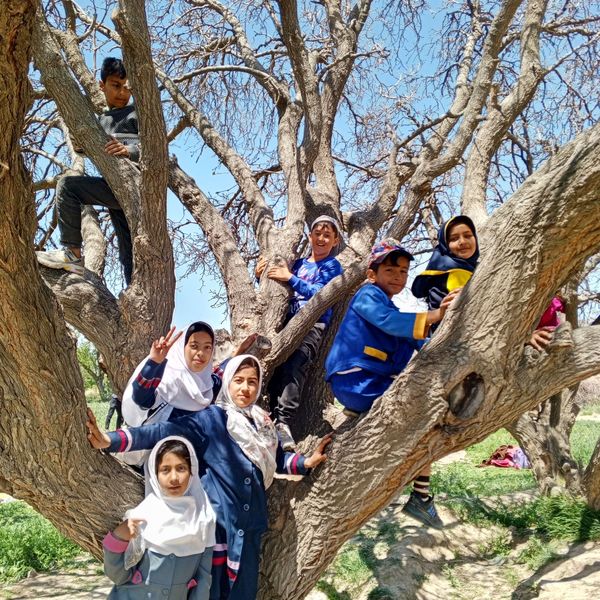برگزاری اردوی تفریحی دانش‌آموزی بیرون از مدرسه