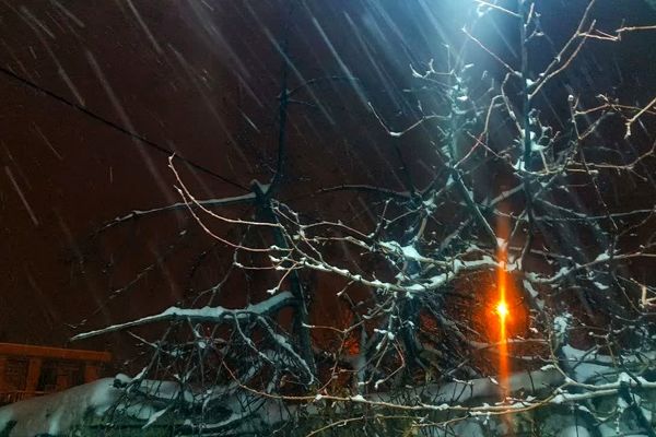 سپیدی رحمت بر شهرستان مارگون