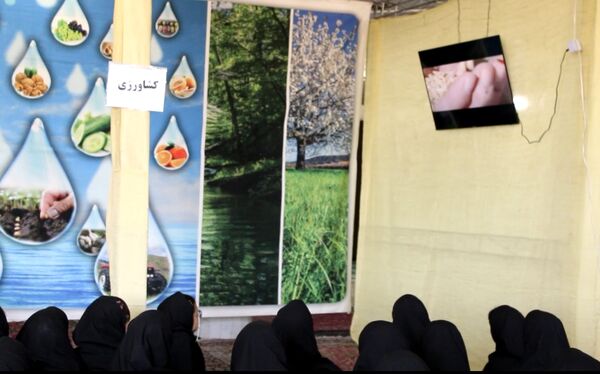 نمایشگاه «امید» در شهرستان تربت‌جام؛ ابزاری حیاتی برای خنثی‌سازی تهاجم رسانه‌ای دشمنان