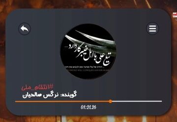دکلمه‌خوانی دانش‌آموز خبرنگار پانا در وصف سردار شهید حسین سلامی و سردار شهید محمد باقری
