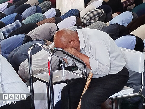نماز جمعه شهرستان کاشمر 