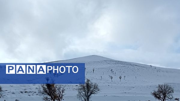 بارش برف زمستانی در روستای برزنون شهرستان نیشابور