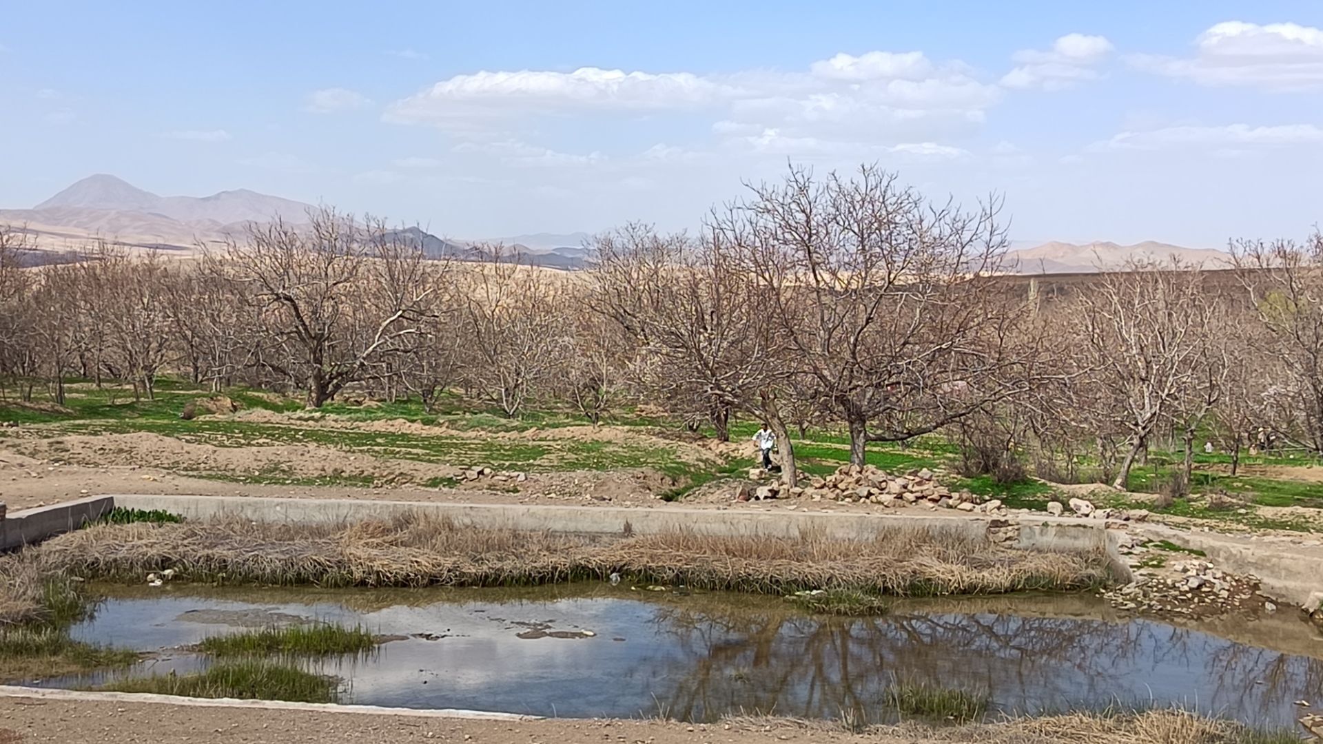 رویش شکوفه های امید در فصل بهار روستای برزنون 