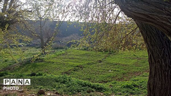 بهار در دامان طبیعت کاشمر؛ تصاویری دیدنی از کوه ها، شکوفه‌ها و سبزی فروردین