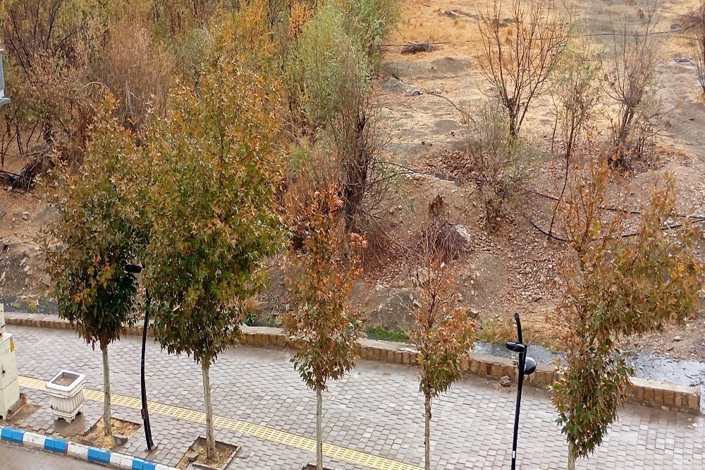 اولین باران پاییزی قابی شفاف از پاییز  رنگارنگ را در شهر زیبای بار رقم زد