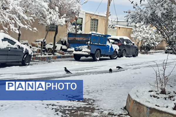 بارش برف شهرستان اقلید را سفید پوش کرد