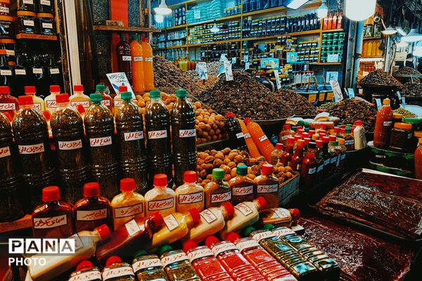 از آباده تا گیلان؛ سفری به سرزمین باران و جنگل‌های همیشه‌سبز