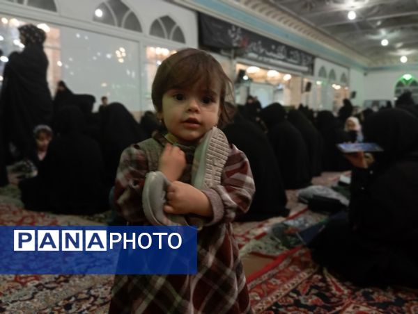 برگزای مراسم شب قدر و نوزدهم ماه رمضان در امامزاده سید حمزه کاشمر