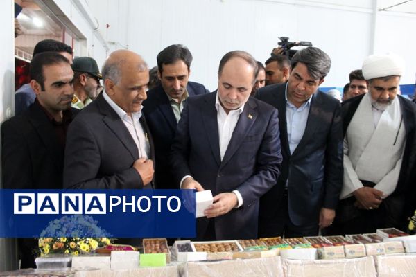 از شنیدن صدای کشاورزان «طرز» تا بازدید از زنجیره ارزش خرمای شرق کرمان