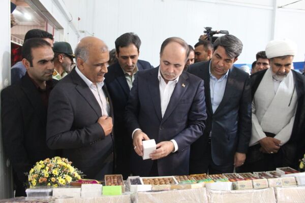 از شنیدن صدای کشاورزان «طرز» تا بازدید از زنجیره ارزش خرمای شرق کرمان