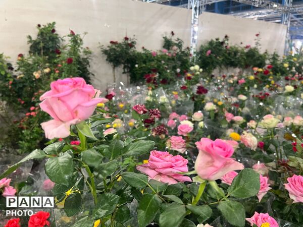اولین نمایشگاه بهاره گل و گیاه و سوغاتی های محلی در شهرکرد