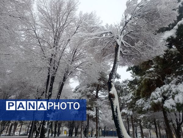 سفید مثل برف