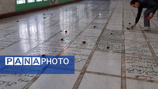 حال و هوای گلزار شهدای امامزاده ابراهیم(ع) قم