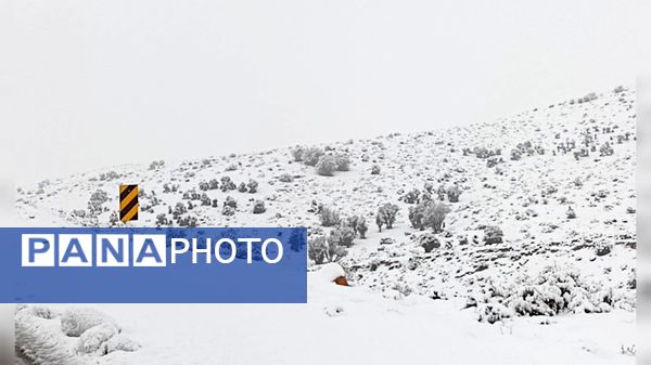 صبحی که خورشید جایش را به برف داد