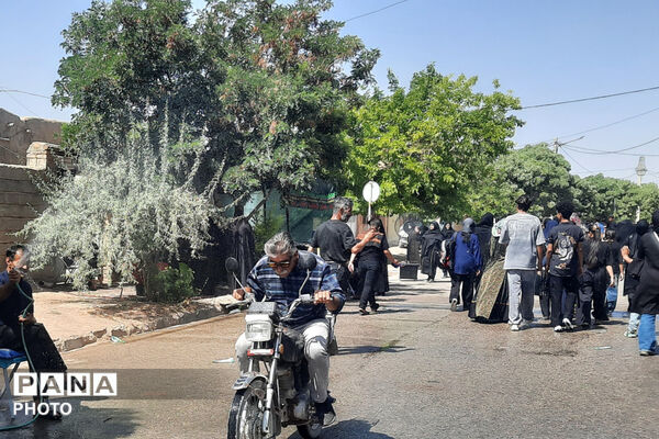 گام‌های عاشقی جاماندگان اربعین از صغاد تا حرم امامزادگان بهمن
