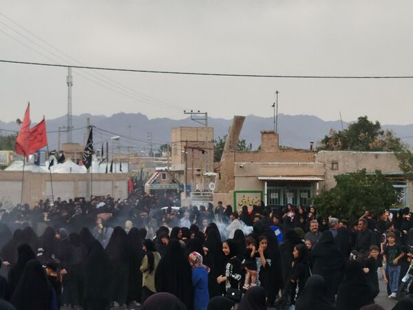 حرکت دسته بنی اسد در روستای فدافن